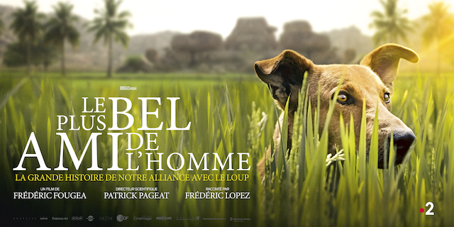 Le Plus Bel Ami De L Homme Le Plus Bel Ami de l'Homme, produit par Boréales | USPA