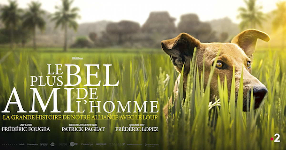 Le Plus Bel Ami De L Homme Le Plus Bel Ami de l'Homme, produit par Boréales | USPA